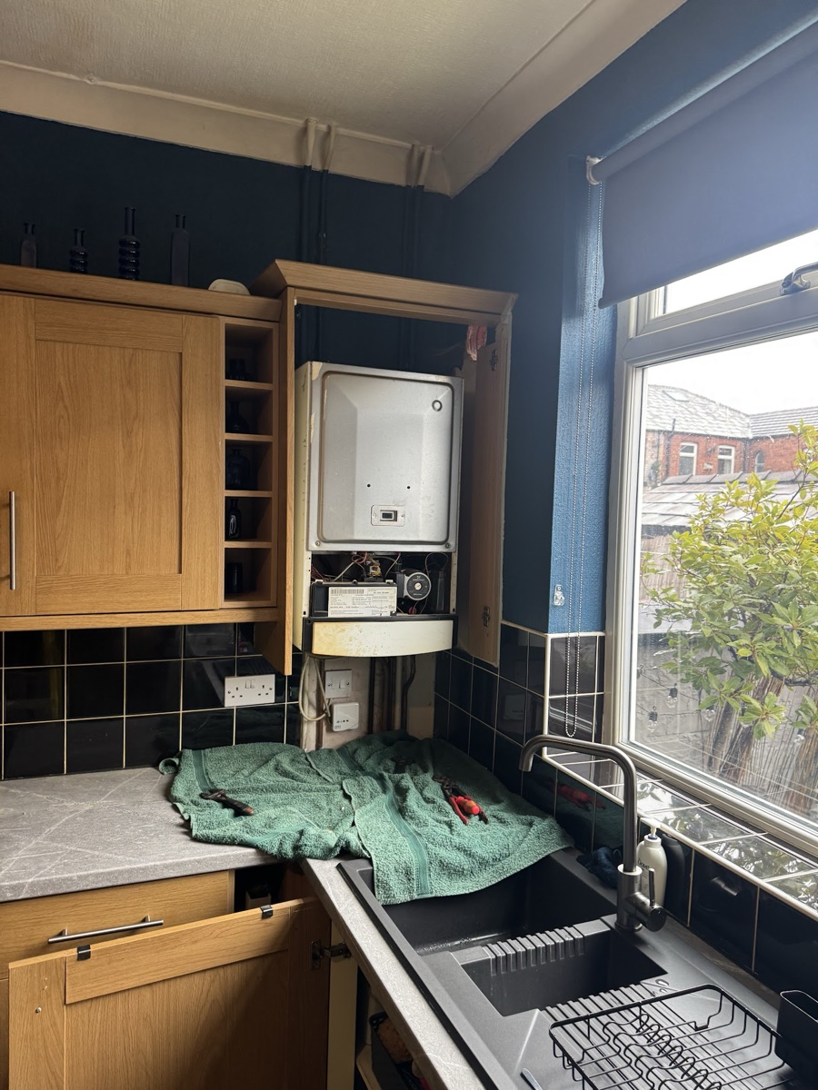 Alpha E-Tec boiler upgrade in Leigh